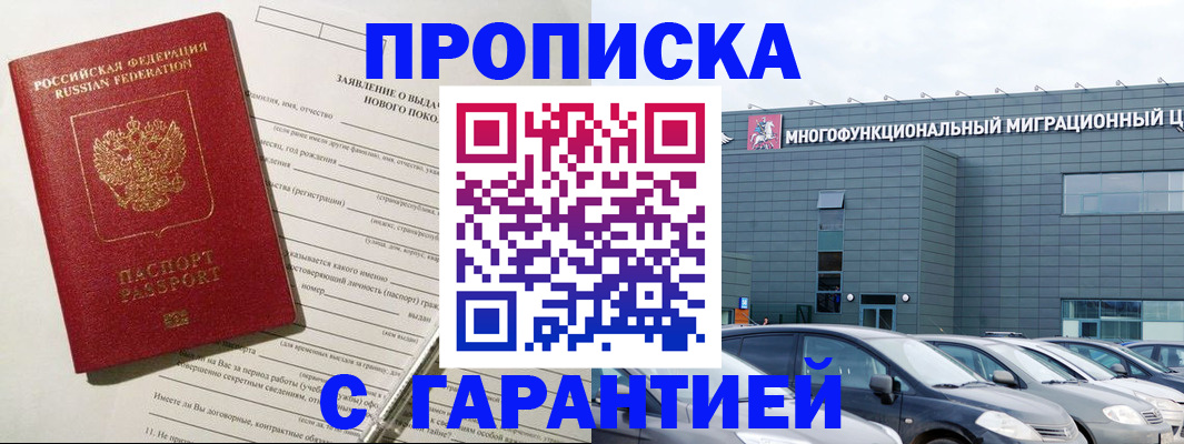прописка поиск в Щёлково